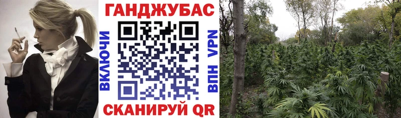 Псилоцибиновые грибы Нестеров