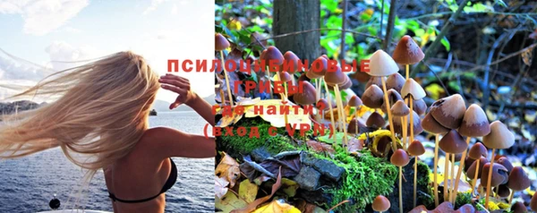 марихуана Баксан