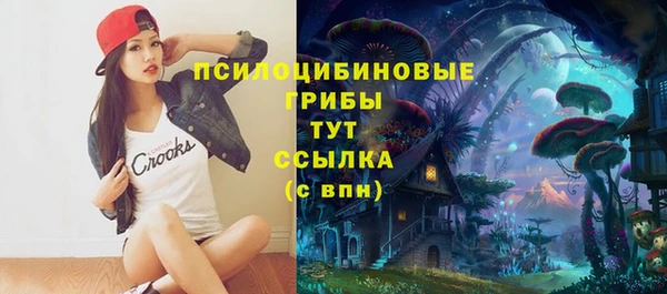ECSTASY Балахна
