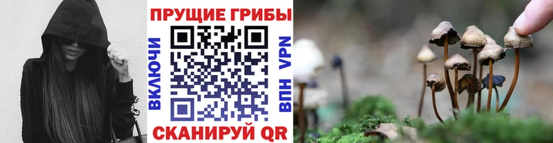 Купить где  Нестеров  Псилоцибиновые грибы ЛСД 