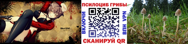 Псилоцибиновые грибы Magic Shrooms Нестеров