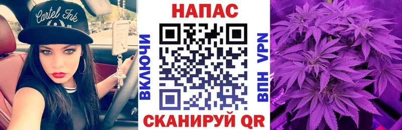 Купить  Нестеров  Бошки марихуана OG Kush 